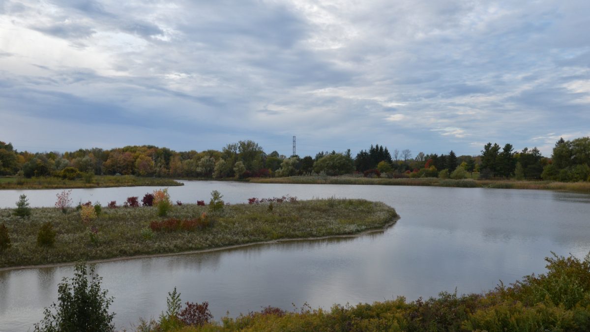 Restoration of Lake Waterloo through the use of bioretention areas