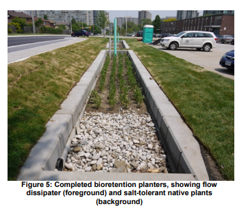 Image of a sustainable urban rainwater management project in the City of Vancouver. The schematic includes incorporation of greenscaping as a way of not only beautifying the streetscape, but also to provide functional purposes such as rainwater management and small areas of habitat refugia. The image shows the integration of sustainable design with climate adaptation actions. Specific foci are on the inclusion of more city street trees, native plants, areas for pollinators, rain gardens, and the creation of common spaces for gathering.