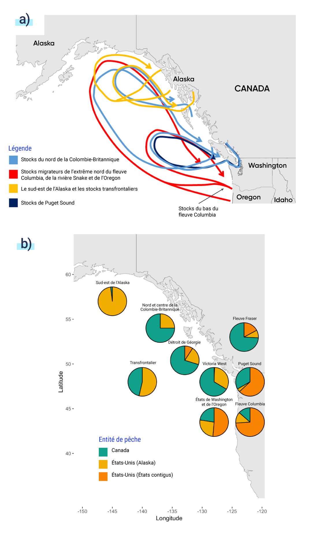 La figure A est une carte du nord ouest du Pacifique montrant les profils migratoires des principaux groupes de stocks de saumon quinnat. Les stocks de Puget Sound migrent autour de l’île de Vancouver. Les stocks du nord de la Colombie Britannique migrent autour de l’île de Vancouver, vers le nord en direction de l’Alaska et vers la côte nord de la Colombie Britannique. Les stocks du sud est de l’Alaska et les stocks transfrontaliers migrent de la côte de l’Alaska vers le nord est. Les stocks du Lower Columbia, de la Snake River et de l’Oregon migrent depuis les côtes de l’État de Washington et de l’Oregon, vers le nord en direction de l’Alaska, puis reviennent par Puget Sound.   La figure B est une carte du nord ouest du Pacifique à laquelle ont été ajoutés des graphiques circulaires pour représenter la proportion du stock principal de saumon quinnat de chaque région capturé par des entités de pêche individuelles. Les pêcheries américaines de l’Alaska capturent la majeure partie du stock du sud est de l’Alaska. Les pêcheries canadiennes capturent la plupart des stocks du fleuve Fraser, du nord et du centre de la Colombie Britannique, du détroit de Géorgie et de l’ouest de Victoria, et une petite partie est capturée par les pêcheries américaines en Alaska. Les pêcheries des États contigus des États Unis capturent la plupart des stocks de Puget Sound, du fleuve Columbia, de l’État de Washington et de l’Oregon, tandis que les pêcheries du Canada et de l’Alaska en capturent une plus petite proportion.