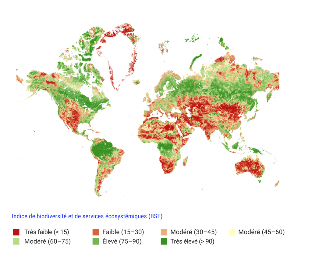 La carte du monde affiche les valeurs de l’indice de biodiversité et de services écosystémiques (indice BSE) pour différentes parties du monde. Les valeurs de l’indice BSE très faibles sont indiquées en rouge et les valeurs élevées, en vert. À l’échelle mondiale, les zones présentant les valeurs les plus élevées sont le Canada, le nord de l’Amérique du Sud, l’Afrique centrale, l’Europe du Nord, l’Asie du Nord, la Papouasie Nouvelle Guinée et l’Indonésie.