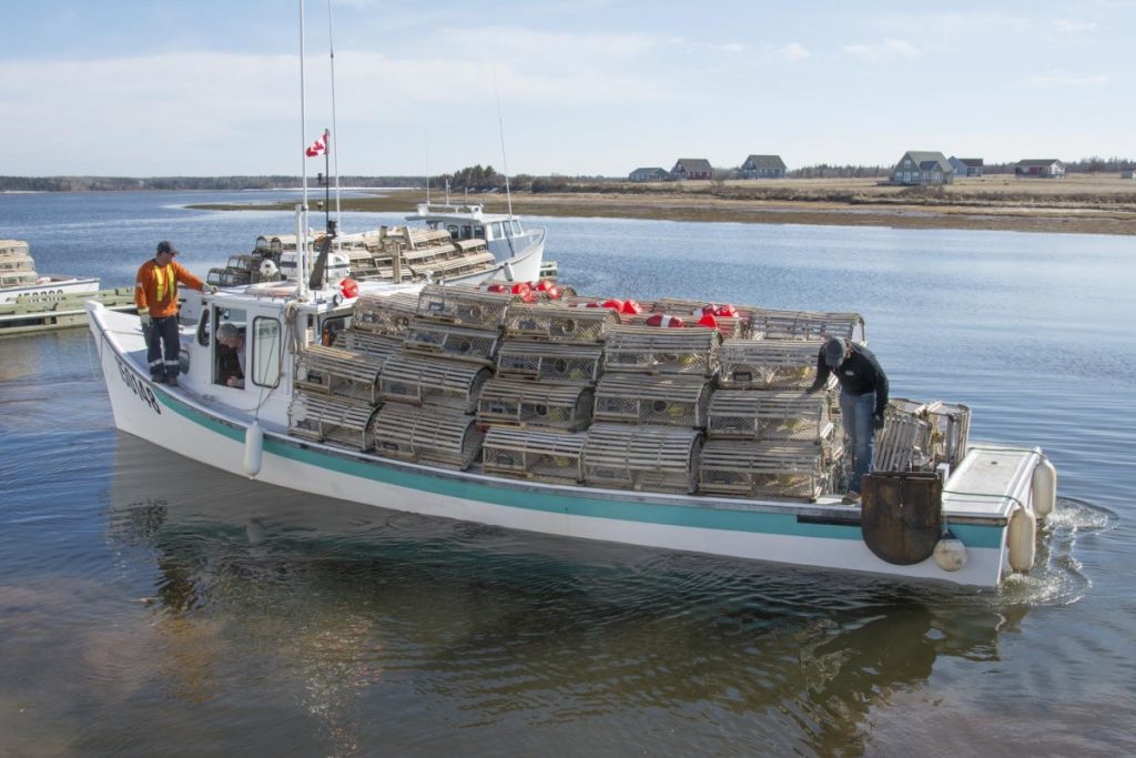Two photographs of lobster fishing operations. The first photo shows eight fishing boats docked in a harbour with lobster traps on the deck. The second photo is of two fishers on a boat loaded with lobster traps.