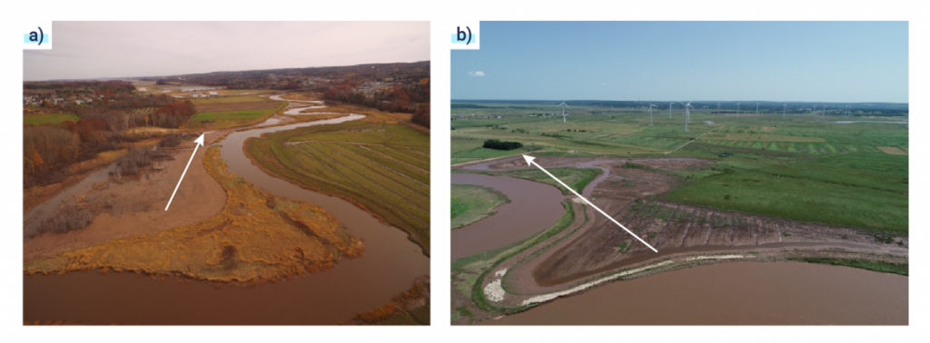 Two photos of aerial views of early-stage wetland habitat recovery. The first photo is of a snaking river in an agricultural area, and an arrow pointing toward the location of a realigned dyke. The second photo is of a snaking river in an agricultural area with wind turbines in the background. An arrow points toward the location of a realigned dyke.