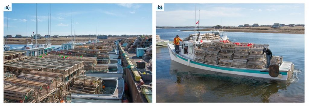 Deux photographies d’activités de pêche au homard. La première photo montre huit bateaux de pêche amarrés dans un port transportant des casiers à homards sur le pont. La deuxième photo montre deux pêcheurs sur un bateau chargé de casiers à homards.