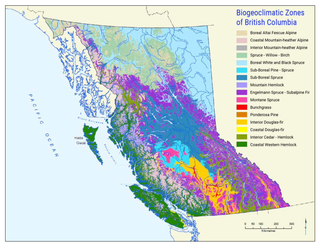 Diagram visually depicting the location and extent of the sixteen biogeoclimatic zones within British Columbia.