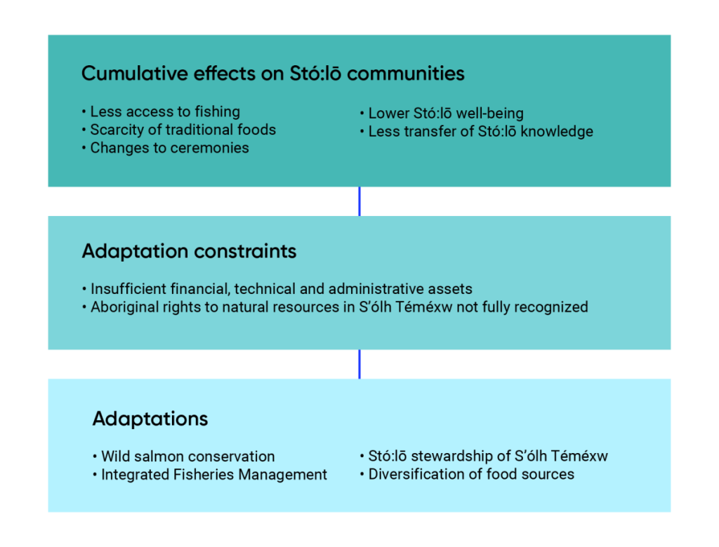 Diagram summarizing the impacts of climate-induced cumulative effects of Fraser River salmon. Cumulative effects on Stó:lō communities include less access to fishing, scarcity of traditional foods, changes to ceremonies, lower Stó:lō well-being, and less transfer of Stó:lō knowledge. Adaptation constraints include insufficient financial, technical and administrative assets, and that Aboriginal rights to natural resources in S’ólh Téméxw are not fully recognized. Adaptations include wild salmon conservation, Integrated Fisheries Management, Stó:lō stewardship of S’ólh Téméxw, and diversification of food sources.