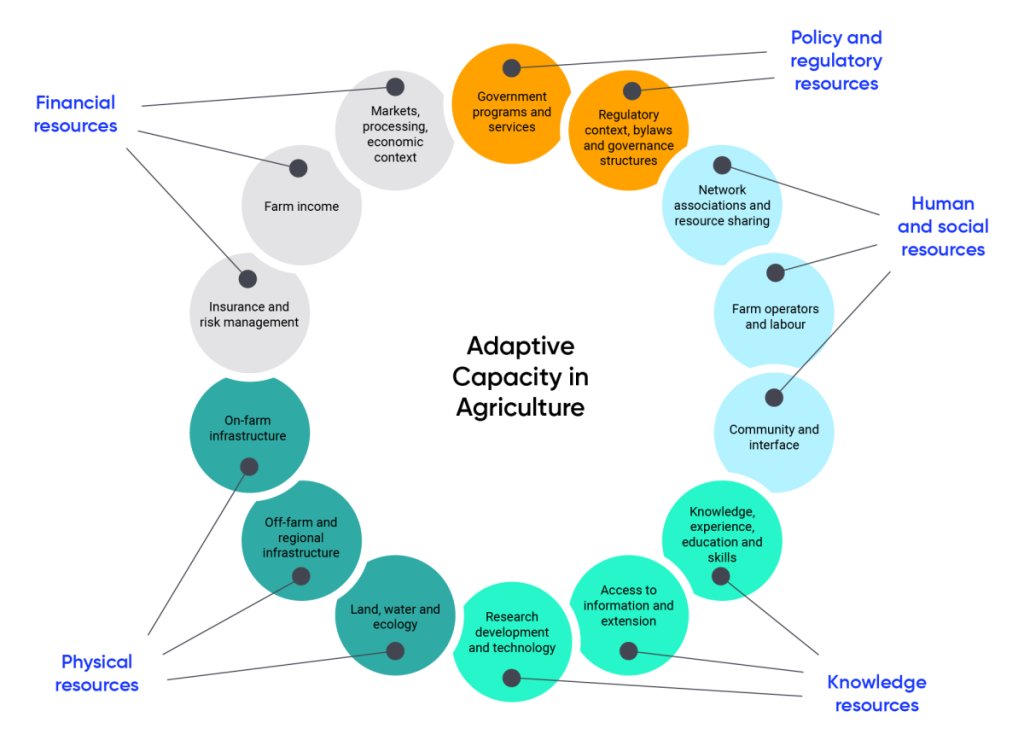 Diagram showing five different kinds of factors that impact adaptive capacity in agriculture. Policy and regulatory resource factors include: government programs and services; and, regulatory context, bylaws and governance structures. Human and social resource factors include: network associations and resource sharing; farm operators and labour; and, community and interface. Knowledge resource factors include: knowledge, expertise, education and skills; access to information and extension; and, research development and technology. Physical resource factors include: land, water and ecology; off-farm and regional infrastructure; and, on-farm infrastructure. Financial resource factors include: insurance and risk management; farm income; and, markets, processing and economic context.