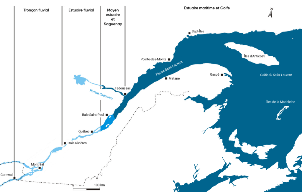 Carte du golfe du Saint-Laurent, s'étendant jusqu'à l'endroit où le fleuve Saint-Laurent traverse Cornwall, en Ontario. La carte indique l'emplacement de la section fluviale du fleuve, entre Cornwall et Trois-Rivières, de l'estuaire fluvial qui s'étend de Trois-Rivières jusqu'à la région située entre la ville de Québec et Baie Saint-Paul, et de l'estuaire supérieur et de la région du Saguenay qui s'étend jusqu'à Tadoussac.