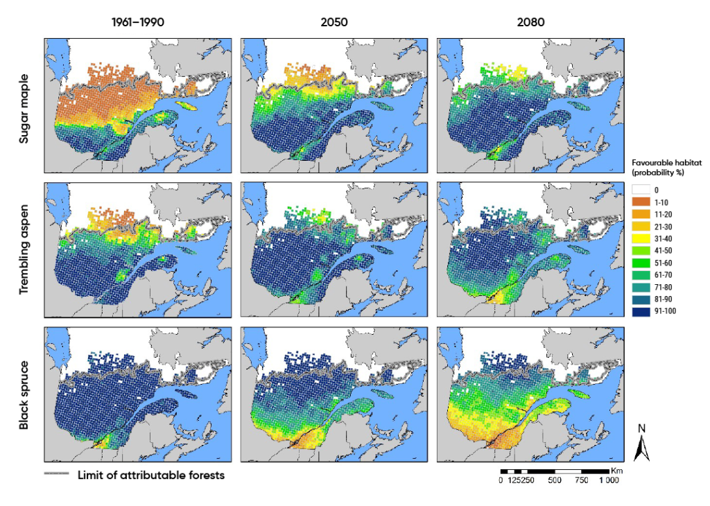 Matrix of nine maps of southern Quebec showing the probability of favourable habitat for sugar maple, trembling aspen, and black spruce in 2050 and 2080 compared to 1961–1990. The favourable habitat for sugar maple is predicted to increase significantly by 2080. The favourable habitat for trembling aspen is predicted to increase moderately in central Quebec and decrease slightly in the southernmost area of Quebec by 2080. The favourable habitat for black spruce is predicted to decline significantly across southern and central Quebec by 2080.