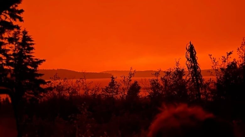 Photo of a treeline with a lake in the background. The sky is dark orange and clouded with smoke.