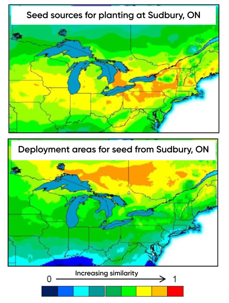 Image of two maps of Ontario and northeastern United States. Seed sources for planting at Sudbury Ontario are found with increasing similarity in southwestern Ontario and across the northeastern States. Deployment areas for seed from Sudbury are found in increasing similarity in Northern Ontario and Quebec.