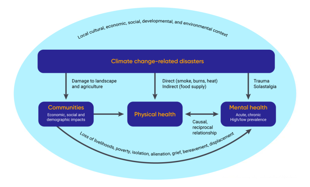 Diagram links climate change-related disasters to three human health impacts. Disasters lead to damage of landscape and agriculture which has leads to economic, social, and demographic impacts on communities. Disasters also impacts physical health directly (for example smoke, burns, and heat) and indirectly (for example, food supply). There is a causal, reciprocal relationship between physical health and mental health. Disasters can lead to trauma and solastalgia, and acute or chronic mental health issues. Loss of livelihoods, poverty, isolation, alienation, grief, bereavement, and displacement can also have impacts on mental health.