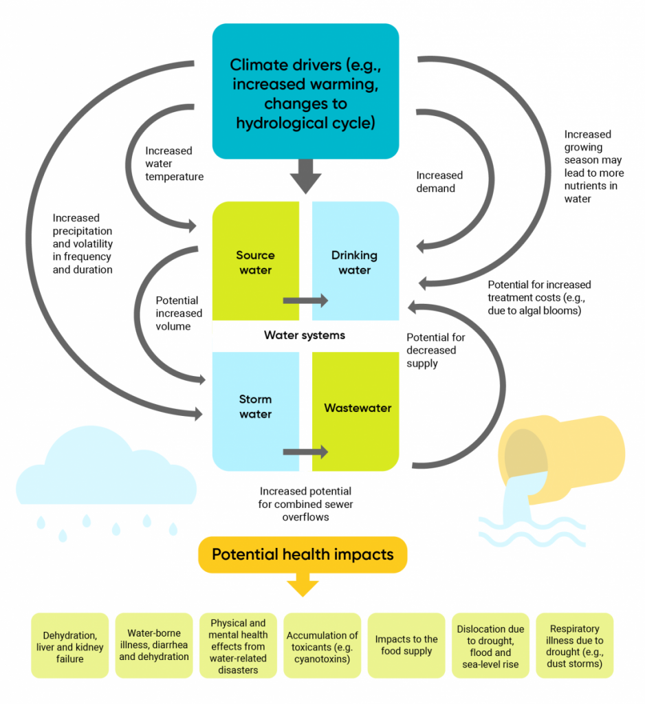 Schematic illustrating the direct and indirect ways climate change can alter water quality and quantity and affect health. Climate drivers act on water systems through increased demand, changes in growing seasons, treatment costs, supply, temperature, precipitation and volume. These impacts on water systems can include source water, drinking water, storm water, and wastewater. These water system impacts can then result in a variety of potential health impacts, such as: 1. Dehydration, liver, and kidney failure 2.Water-borne illness, diarrhea, and dehydration 3. Physical and mental health effects from water-related disasters 4. Accumulation of toxicants (e.g., cyanotoxins) 5. Impacts to the food supply 6. Dislocation due to drought, flood, and sea-level rise 7. Respiratory illness due to drought (e.g., dust storms)