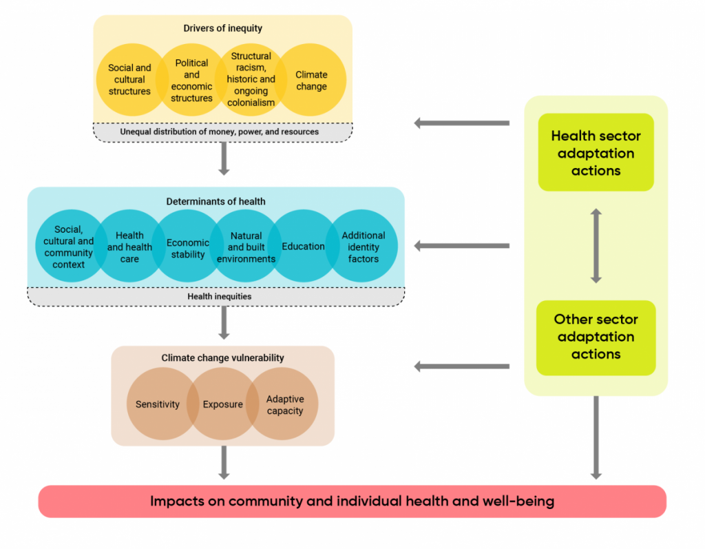 A schematic illustrating the linkages between climate change and health equity. From top-down, drivers of inequities include social and cultural structures, political and economic structures, structural racism, colonialism and climate change. Drivers act on the determinants of health that contribute to how vulnerable an individual is from climate change. The culmination of these facts have an impact on community and individual health and well-being. Climate change adaptation measures, implemented within or outside of the health sector can positively or negatively influence the status of determinants of health and/or climate change vulnerability.