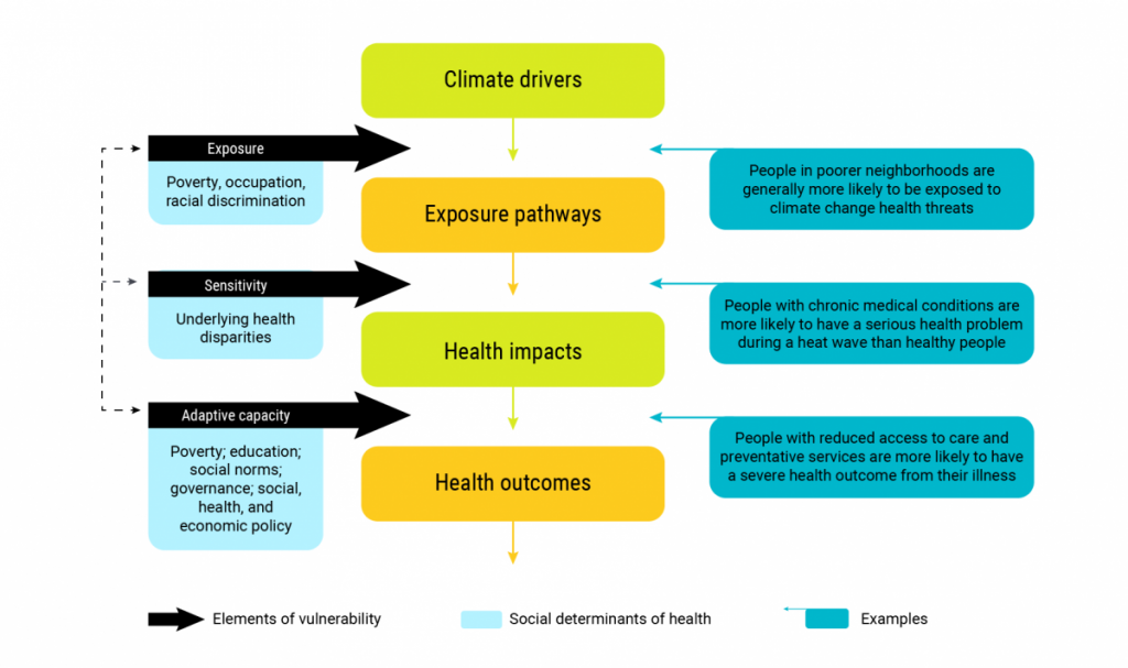 A schematic illustrating the intersection of the social determinants of health and vulnerability to climate change. Increased exposure, increased sensitivity, and reduced adaptive capacity all influence vulnerability to climate change at different points in the causal chain from climate drivers to health outcomes. Increased exposure and sensitivity can influence vulnerability. For example those with chronic medical conditions are more likely to have a serious health problem during a heat wave than those without chronic medical conditions. Adaptive capacity can influence resilience of individuals or populations experiencing health impacts by, for example, influencing access to care and preventative services (Gamble et al., 2016).