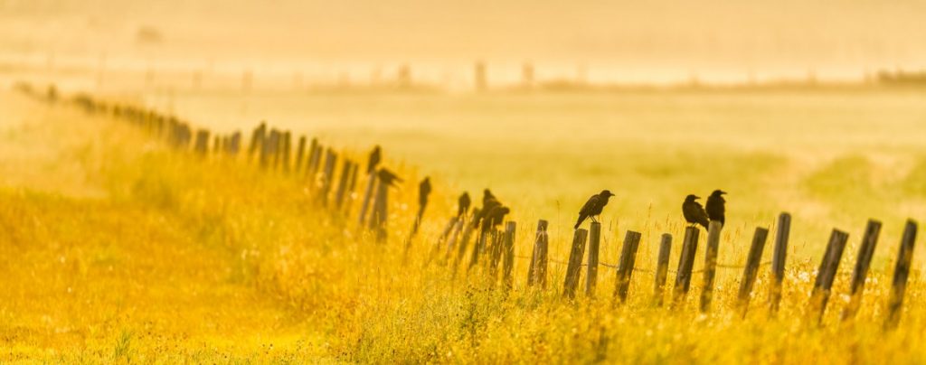 newsroom-health-of-canadians-in-a-changing-climate