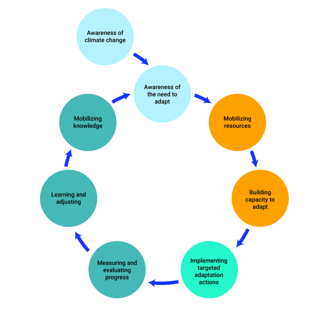 Circular diagram illustrating the eight steps of the climate change adaptation cycle. The cycle begins when the awareness of climate change is raised and the need to adapt is recognized. This leads to the mobilization of resources and the building of capacity to adapt. Next, the targeted adaptation actions are implemented, leading to a series of steps such as the measuring and evaluation of progress, the learning and adjustment phase, and finally the mobilization of knowledge.