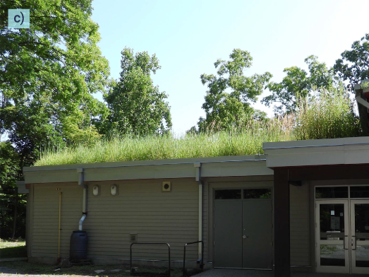 La dernière photo, un toit vert d’herbes hautes qui poussent au-dessus de l’entrée du Walker Living Campus du Conseil scolaire du district de Niagara dans la zone de conservation de Woodend, en Ontario.