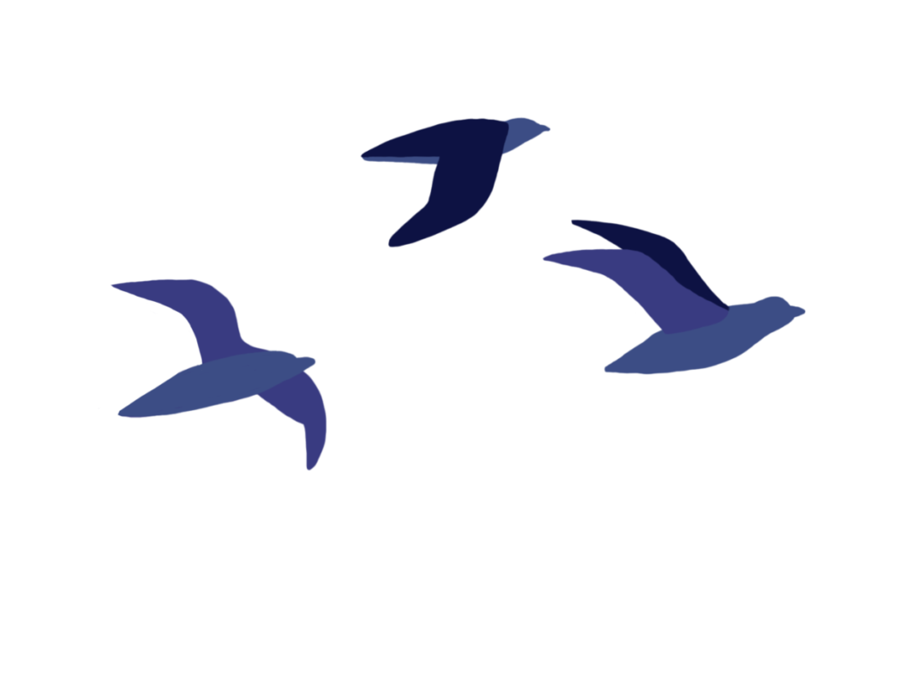 Section 10 0 For Our Future Indigenous Resilience Report