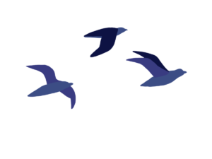 Un trio d'oiseaux marins monochromes violets en vol. Conçu par l'auteur, l'artiste et le chercheur en climatologie Gitxsan Hetxw'ms Gyetxw (Brett D. Huson).
