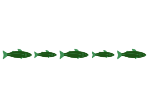 A school of monochromatic green fish of varying sizes. Designed by Hetxw’ms Gyetxw (Brett D. Huson).